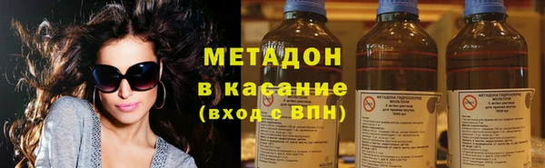 прущие грибы Алзамай