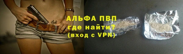 прущие грибы Алзамай