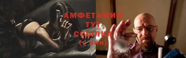 прущие грибы Алзамай