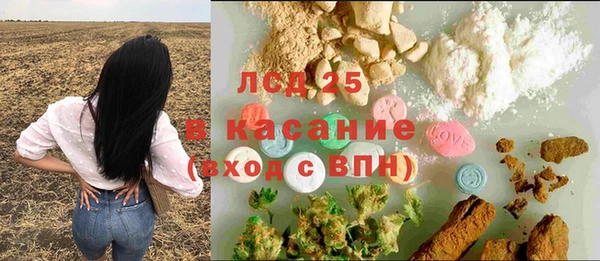 твердый Коряжма