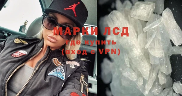 прущие грибы Алзамай