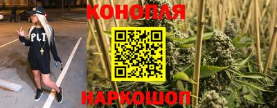 прущие грибы Изобильный