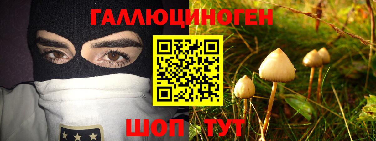 купить  цена  Псилоцибиновые грибы мухоморы  Вход с VPN  Ухта 
