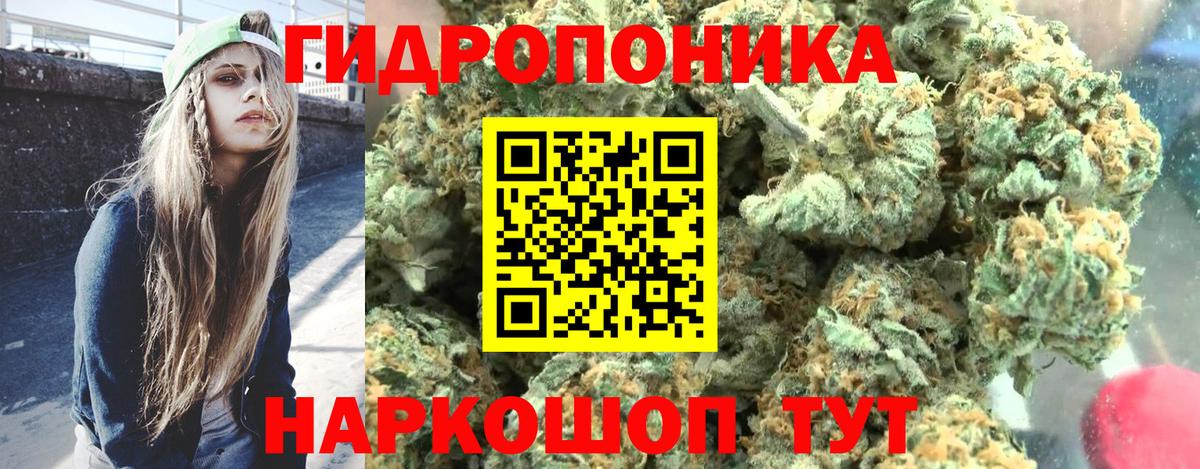 Шишки марихуана гибрид  Бошки марихуана план  Бошки Шишки THC 21%  Каннабис OG Kush  Вход с VPN  Ухта 